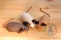 Zabawka - mysz - Medieval Market, mouse new